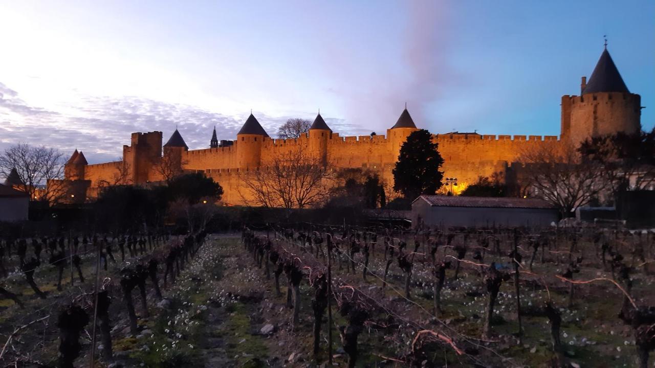 Domaine Fontgrande Gite Каркасон Екстериор снимка