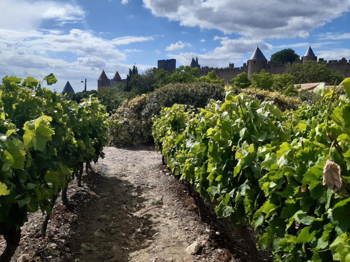 Domaine Fontgrande Gite Каркасон Екстериор снимка