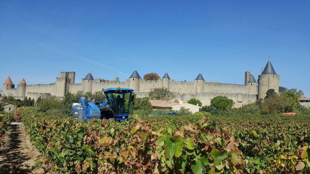 Domaine Fontgrande Gite Каркасон Екстериор снимка