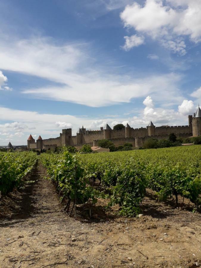 Domaine Fontgrande Gite Каркасон Екстериор снимка