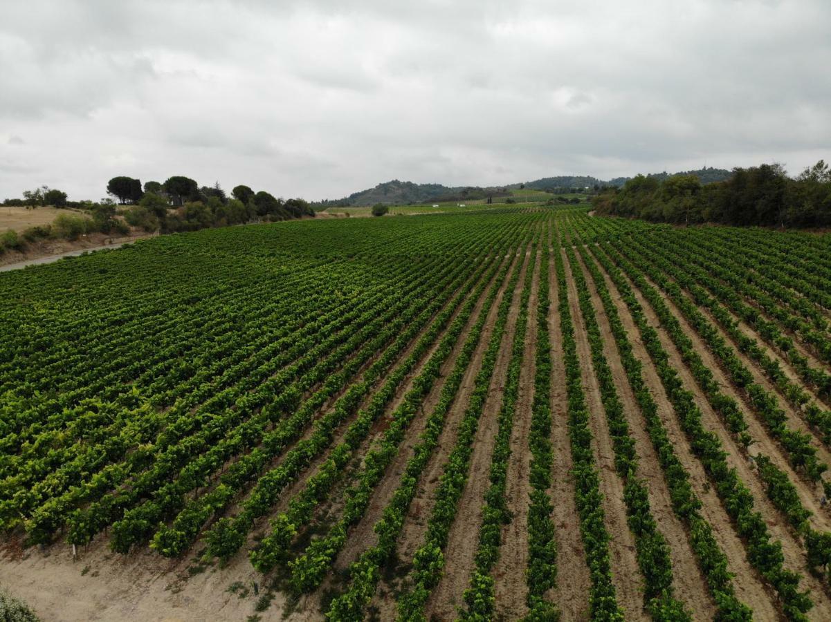 Domaine Fontgrande Gite Каркасон Екстериор снимка